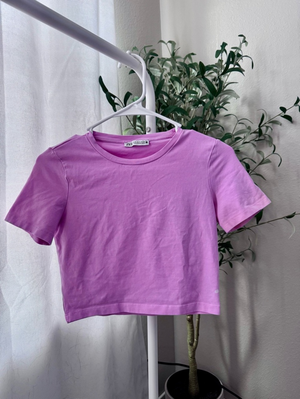 Zara Light Pink Cropped Tee